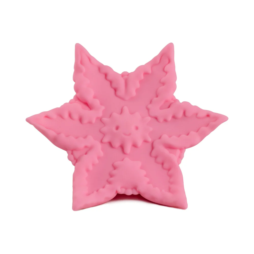 Starsi Rose