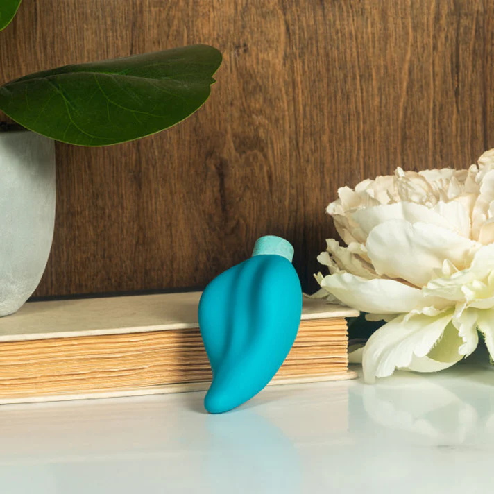 Eco Caress Bullet Vibrator and Sleeve